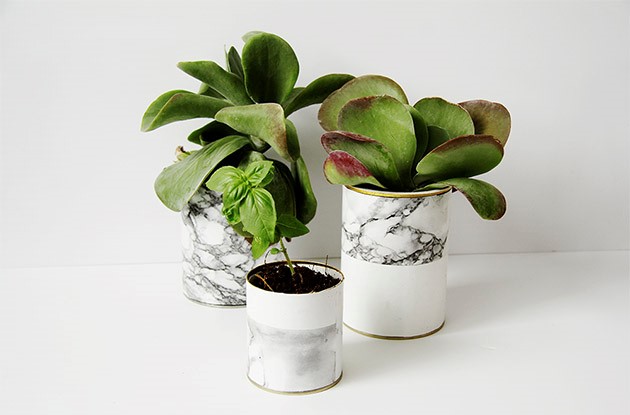 Tin cans wrapped in marble contact paper make great plant and succulent pots