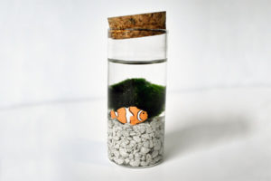 DIY Moss Ball Terrarium craft with nemo clown fish
